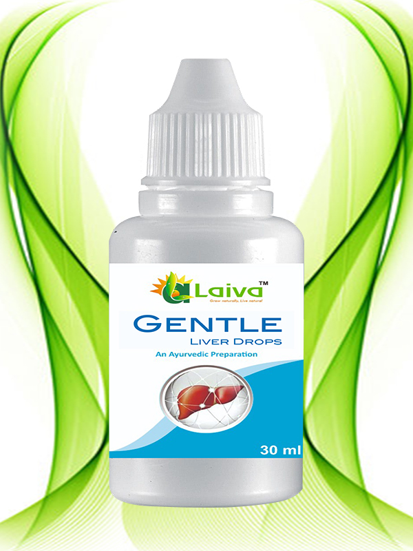 Laiva Gentle